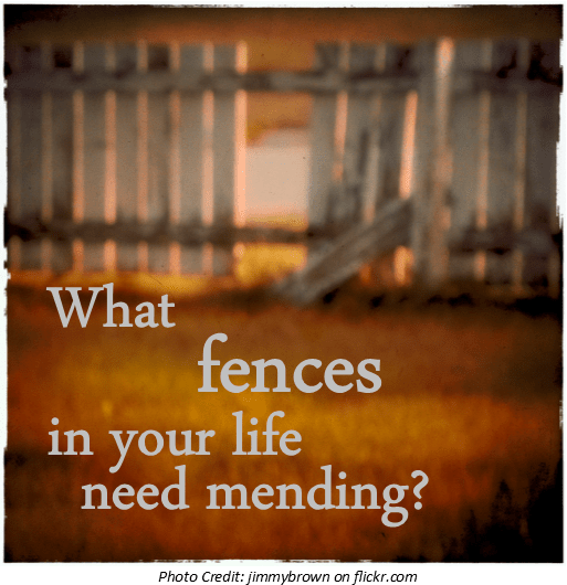 fences w credit